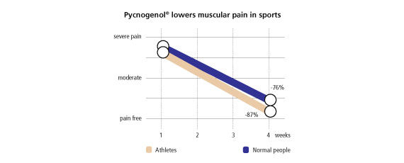 Pycnogenol lowers muscular pain in sports